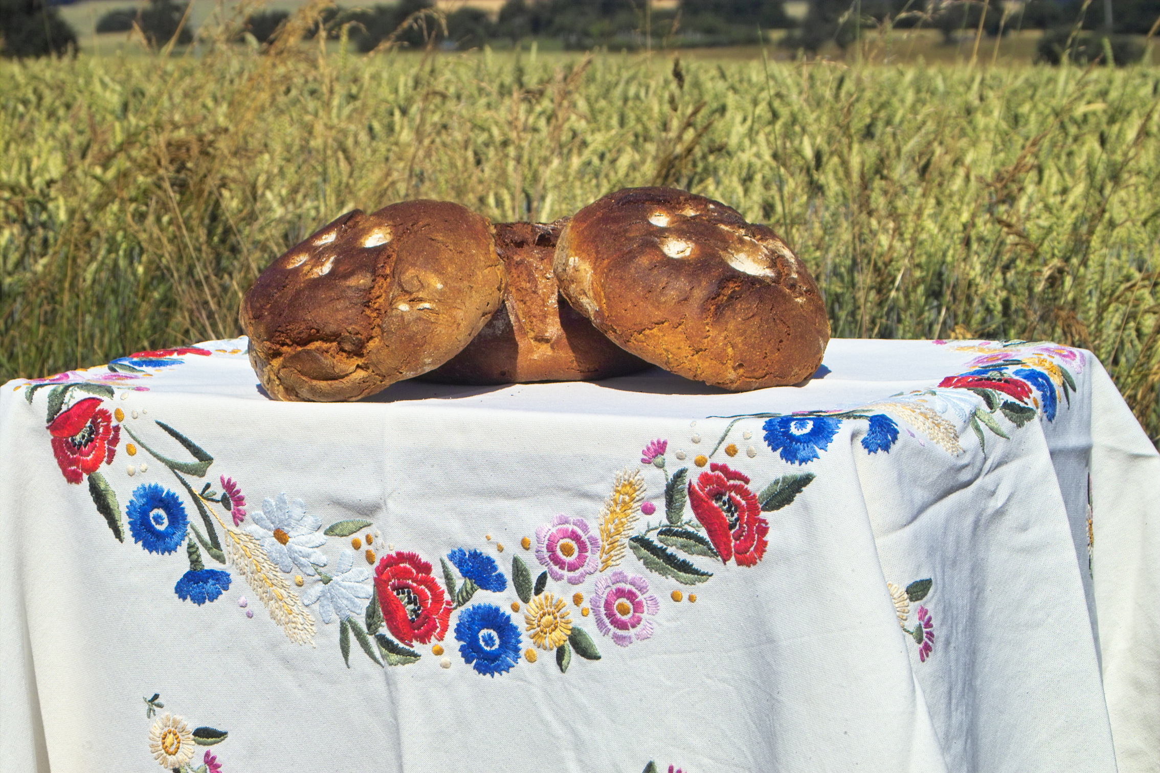 Frisches, eigenes Brot ! Lecker - Foto: Kopp